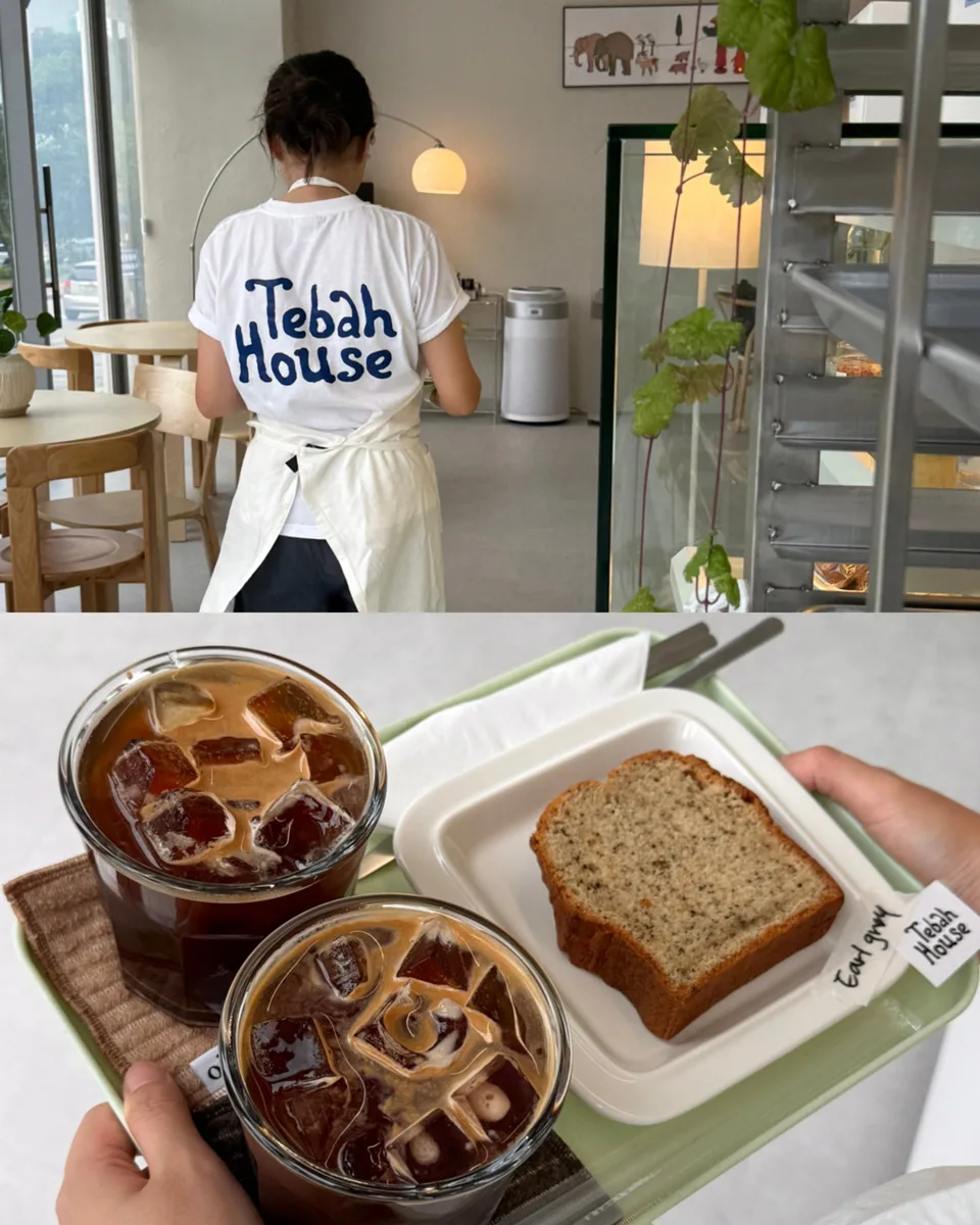 세종로 카페 테바하우스 대표